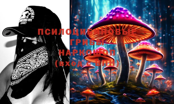прущий лед Арсеньев