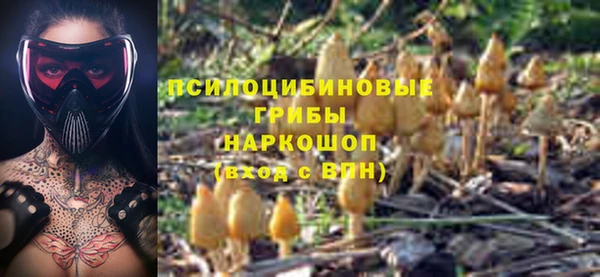 спиды Армянск