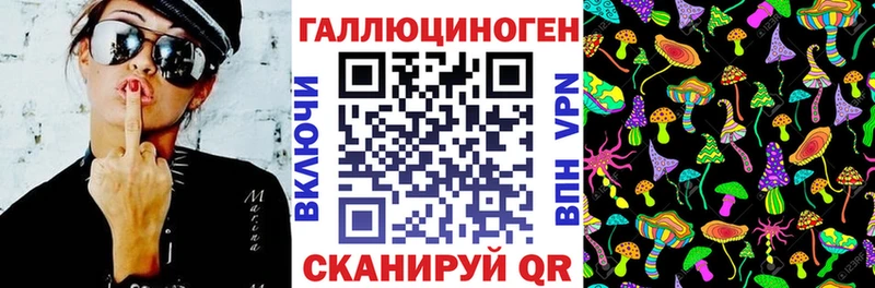 Псилоцибиновые грибы GOLDEN TEACHER  закладки  Калязин 