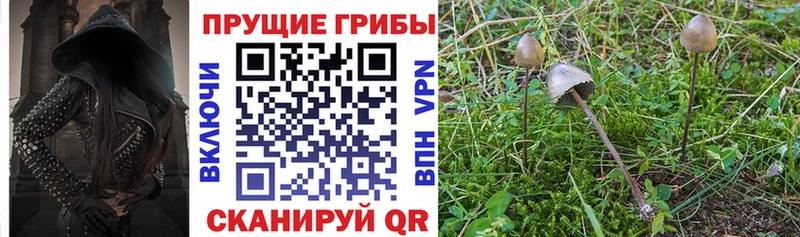 Псилоцибиновые грибы мицелий Калязин